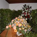 saufb(6)