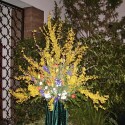 ffeierh(35)