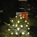 ffeierh(7)