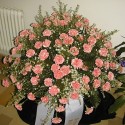 hfeierh (12)