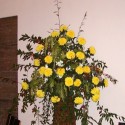 hfeierh (39)
