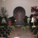 hfeierh (59)