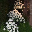 hfeierh (71)