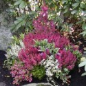 hgrabschmuck (7)