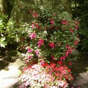sgrabschmuck (13)