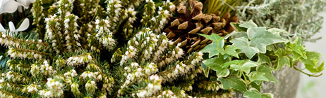 Blumen-Tiedemann